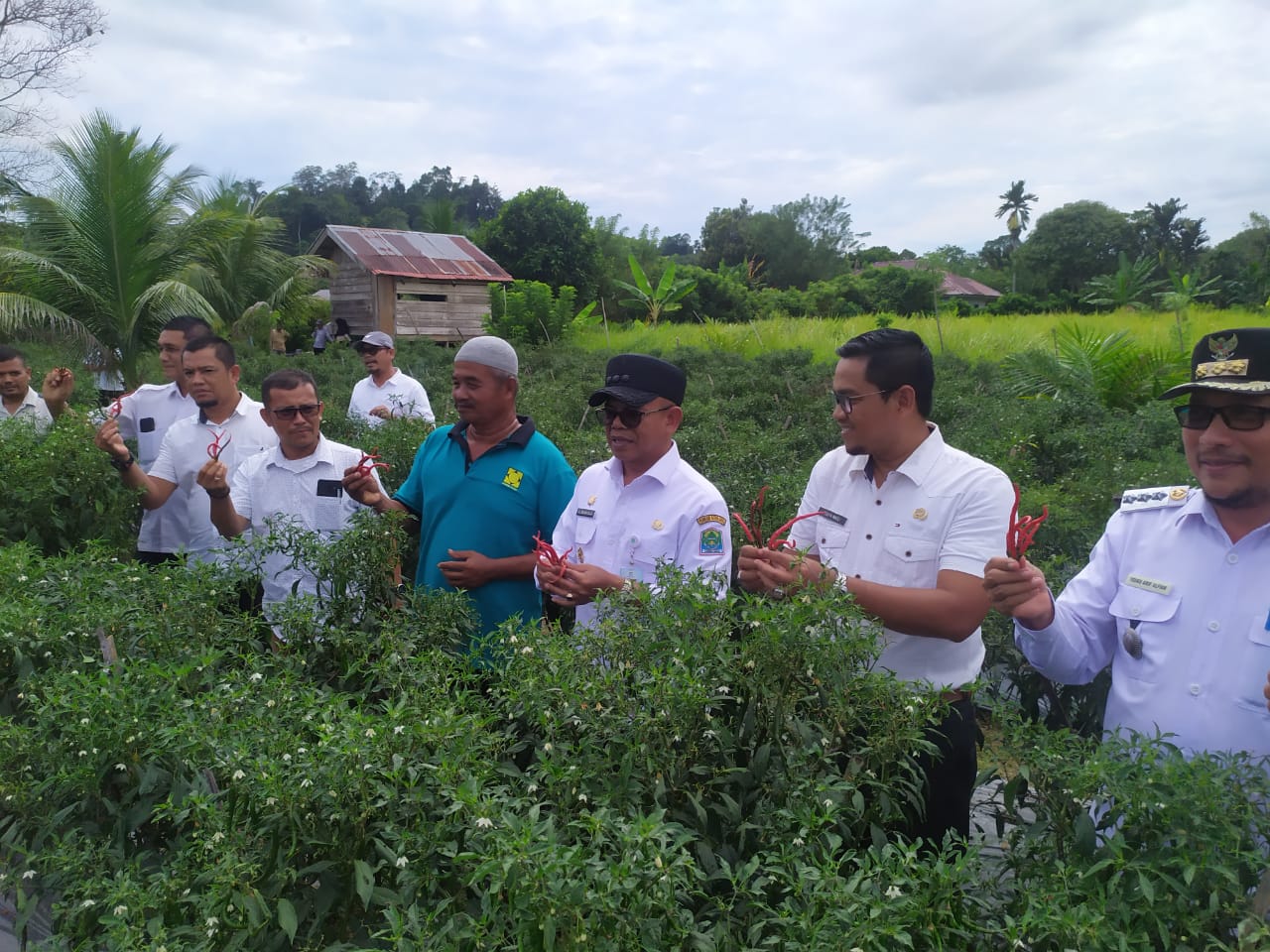 Menjaga Ketahanan Pangan Jelang Ramadhan Pj Bupati Aceh Jaya Tinjau