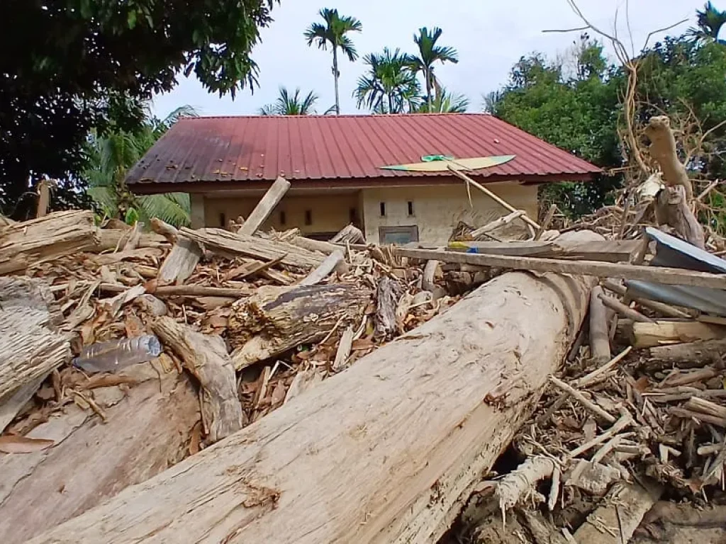 Foto: Tampak tumpukan kayu yang terbawa arus menghantam dan menumpuk di halaman rumah warga di wilayah pedalaman kecamatan Langkahan Aceh Utara, Selasa (3/1/foto/RR)