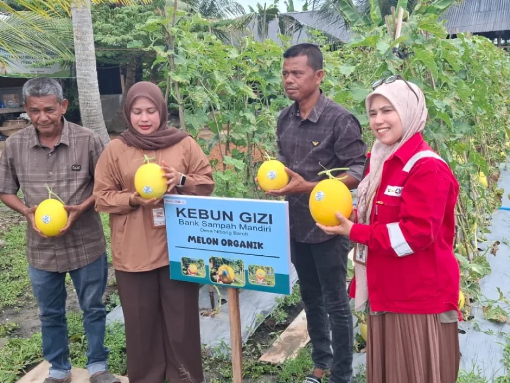 Foto: Perwakilan Tjslp PT PGE bersama Kepala Desa Nibong Baroh Panen Perdana Melon dilokasi Bank Sampah