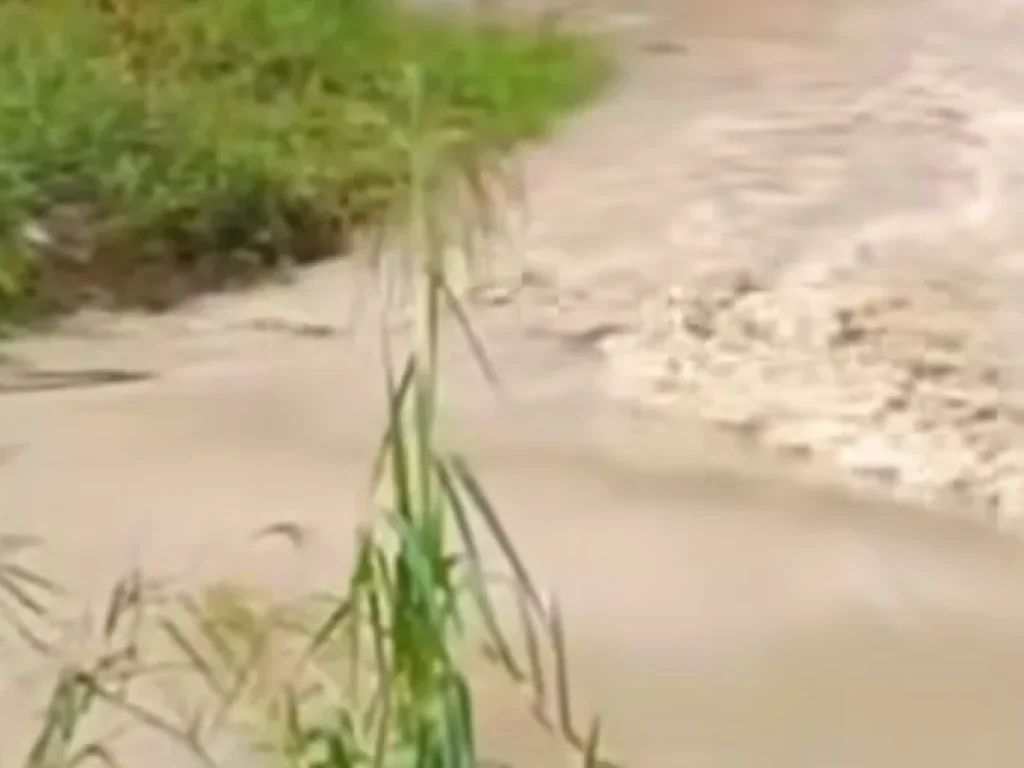 Screenshot_20251126-021217