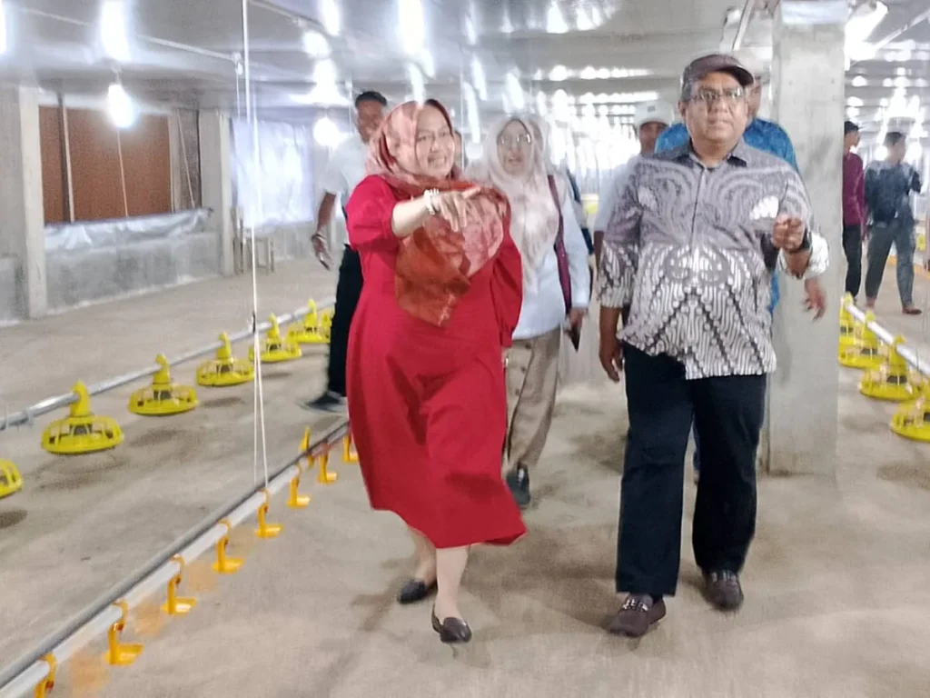 Foto: Penjabat Bupati Aceh Utara Dr Mahyuzar MSi, meninjau langsung pembangunan kandang ayam broiler yang difasilitasi pendanaan oleh Pemerintah Kabupaten Aceh Utara di Gampong Seumirah, Kecamatan Nisam Antara