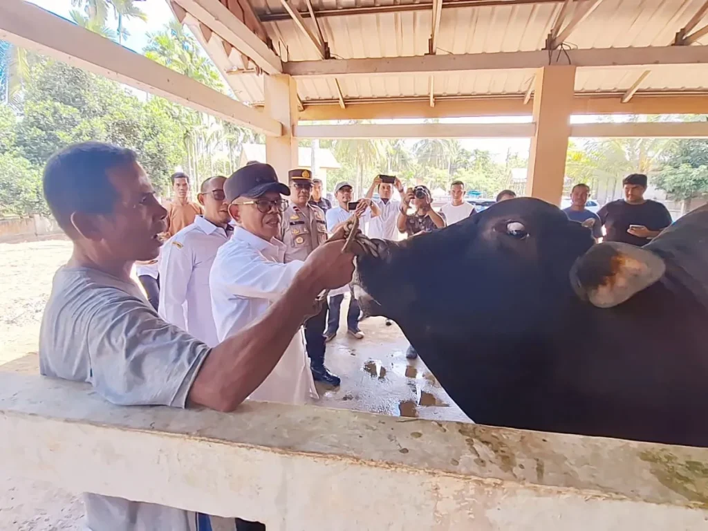 Foto: Pemerintah Kabupaten Aceh Jaya memastikan ketersediaan hewan ternak dan bahan sembako menjelang bulan suci Ramadhan 1445 Hijriah cukup tersedia. Hal ini disampaikan oleh Pj. Bupati Aceh Jaya, Dr. A. Murtala, M.Si, pada saat peninjauan langsung ke pasar hewan ternak Panga dan Pasar Rakyat Calang, Rabu (06/03/2024).