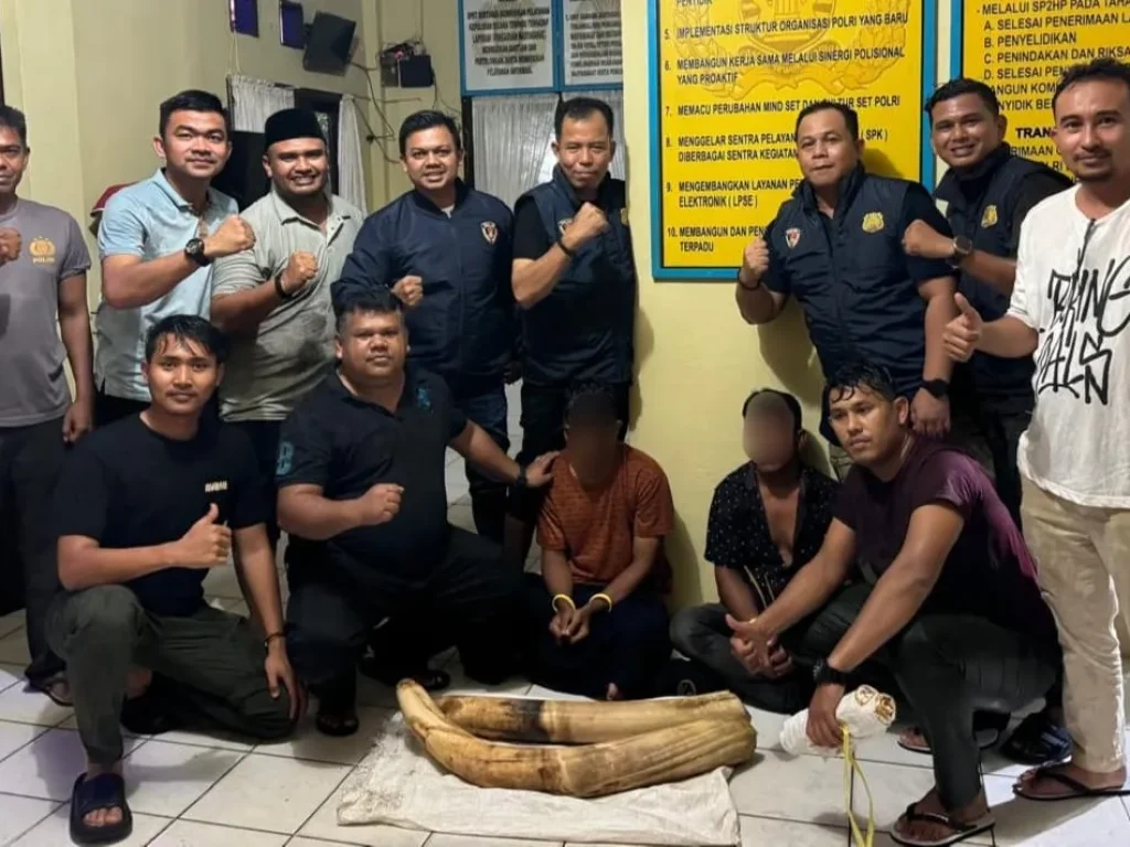 Foto: Personel Subdit IV Tipidter Ditreskrimsus Polda Aceh menangkap dua pelaku tindak pidana Konservasi Sumber Daya Alam Hayati dan Ekosistemnya (KSDAE) yang dilakukan dengan cara menyimpan, memiliki, dan memperniagakan satwa yang dilindungi berupa gading gajah.