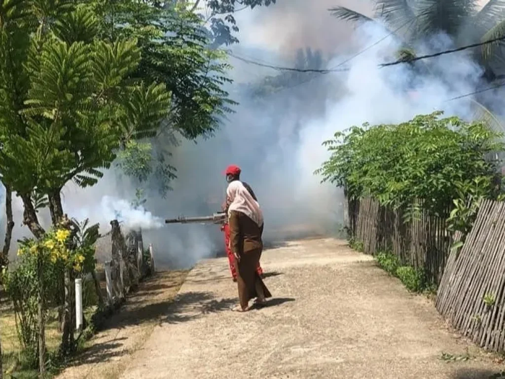 Foto: Petugas Fogging Dinas Kesehatan Aceh Utara