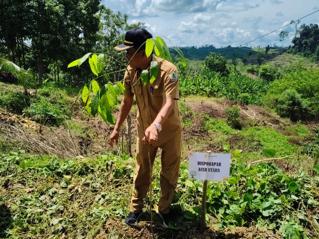 Foto: Kepala Dinas Kepemudaan, Olahraga Dan Pariwisata (Disporapar) Aceh Utara, Muhammad Nasir, S. Sos, M.SI melakukan penanaman Pohon di Kawasan Cot Girek